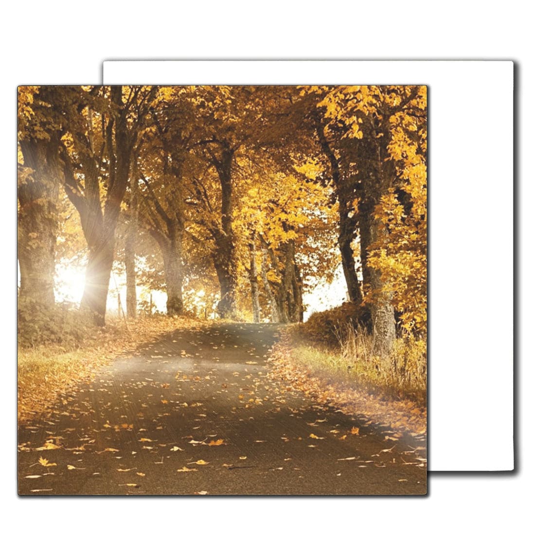 Sublimation HD Photo Panels - 8" x 8" - Pack of 10